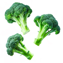 Wall Mural - broccoli isolated on white background