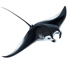 stylized manta ray illustration, showcasing graceful movement and oceanic beauty. this design captur