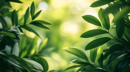 Aufkleber - Close up of green leaves creating natural frame with blurred background