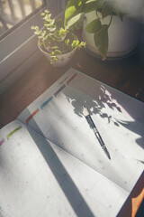 Wall Mural - agenda, planner book, 2025 calendar, pencil, and cactus place on business office desk. diary for org