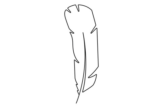 Bird feather continuous one line drawing of bird feather icon  Isolated on white background vector illustration
