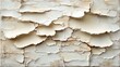 © Sleeping Carbuncle - Abstract White Textured Art Piece Showing Cracks And Layers