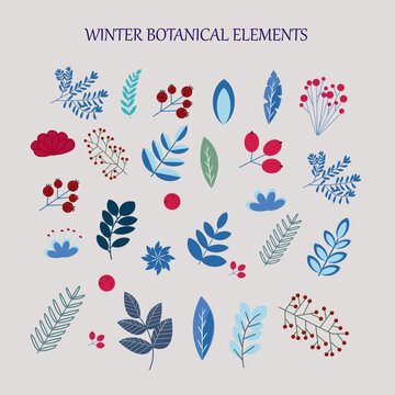 Print Winter Plants Design Elements natural elements flat color vector objects set. New year holiday decorations craft illustrations bundle on white background botanical leaf set red pine cherry 