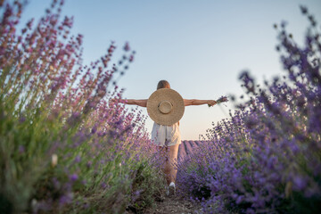 Wall Mural - A woman is walking through a field of purple flowers with a straw hat on