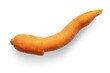 © Olga Iljinich - Fresh curved carrot isolated on white background. Strange vegetables