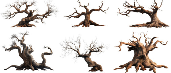 Poster - Ancient Trees with Twisted Branches and Roots