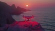 © M_H_L - A drone on a rocky shore at sunset, capturing serene coastal views.