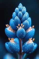 Poster - A close-up view of a blue flower with water droplets, ideal for use in nature-inspired designs or scientific illustrations