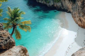 Poster - A palm tree standing next to calm ocean water on a sandy beach