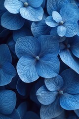 Poster - A close-up shot of a bunch of blue flowers, great for decorative purposes or as a symbol of serenity