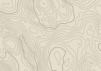 Leinwandbilder - Topographic map background with altitude lines. Abstract terrain topography with elevation levels of the relief