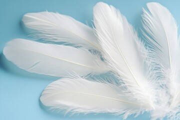 Aufkleber - Image of three white feathers lying on a blue surface, suitable for use in editorial or design contexts