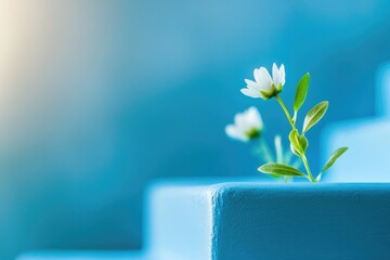 Poster - A small white flower sits alone in a blue vase, perfect for use as a decorative element or symbolizing innocence and purity