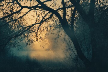Poster - A sunny day with fog and trees, great for outdoor or nature scenes