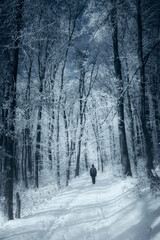 Wall Mural - man walking in snow on forest road