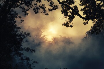 Aufkleber - A tree with sunlight shining through the clouds, suitable for use in nature and outdoors-themed projects