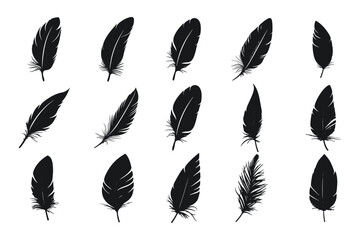 Poster - feather logo design set, in black on white background. set of feather silhouettes vector