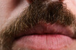© Niko_Dali - Detailed view of a person's mustache, showcasing its texture and color. The image also captures the area above the upper lip and the lips themselves.