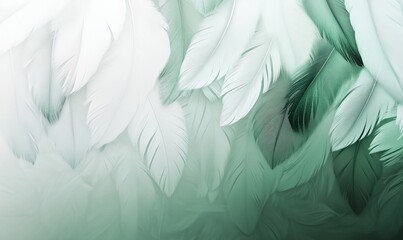 Poster - Feathers background in soft green tones, delicate textures and patterns, ethereal and calming appearance