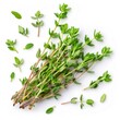 © ArtPixel-Portfolio - Fragrant thyme sprigs displaying delicate green leaves, artfully positioned against pristine white surface