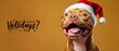 © Fernando - Happy Holidays Adorable Pit Bull Dog Wearing Santa Hat for Christmas