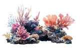 Pastel coral reef on transparent background
