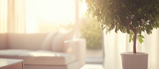 Poster - Serene living room ambiance featuring a beautifully blurred green tree with natural light creating a calming and elegant atmosphere.