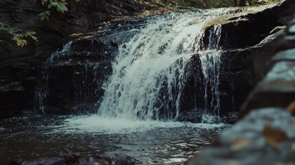 Poster - Tranquil Waterfall Cascading Over Rocks in Falls State Park Surrounded by Lush Greenery and Autumn Leaves