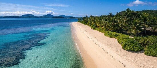 Poster - Aerial view of a tropical beach in Fiji with crystal clear waters and lush palm trees under a bright blue sky