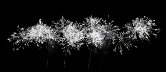 Poster - Fireworks display in dark night sky captured with telephoto lens showcasing vibrant bursts and trails of light
