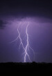 © SusDmi - Intense lightning, with white tones