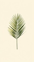 Canvas Print - Single Palm Frond Against A Beige Background