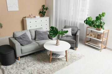 Wall Mural - Modern interior of living room with tropical monstera leaves in vase on table and stylish sofa