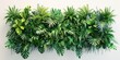tropical plants greenery installation on white wall