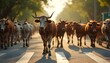 © SirArbusto - Vacas cruzando la calle en la ciudad