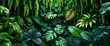 © KenPix - Lush tropical foliage, dense jungle undergrowth, vibrant green leaves, exotic plants, Monstera deliciosa, ferns, philodendron, dark moody atmosphere, rich botanical textures, rainforest flora, deep sh