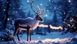 © Kamlesh - Portrait of a reindeer