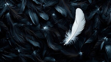 Poster - A single white feather gracefully floating in a space filled with black feathers creating a striking visual contrast that symbolizes purity tranquility and the beauty of simplicity