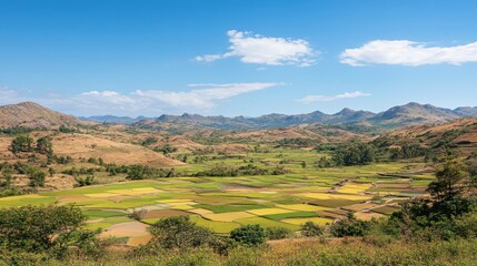 Poster - Captivating view of vibrant rice fields under a clear blue sky in rural landscape
