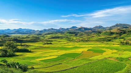 Aufkleber - Colorful rice terraces under a clear blue sky with mountains in the background