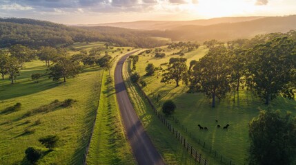 Poster - Aerial view of a winding fence through lush fields and gentle hills at sunset in rural landscape