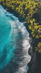 Poster - Experience the tranquil allure of the black sand beaches and clear turquoise waters surrounded by lush palm trees