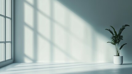 Poster - bright and minimalistic interior with soft shadows and a potted plant near a large window