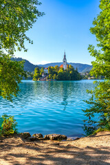 Wall Mural - Lake bled island with church on sunny summer day in slovenia