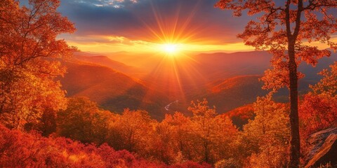 Aufkleber - Autumn colors illuminate the landscape, with sun flare rays piercing through trees at sunset, creating a stunning view of autumn colors in a scenic valley setting.