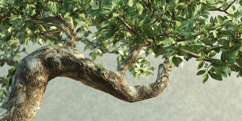 Poster - Kariyat tree, also known as Andrographis paniculata, showcases its unique features in this detailed image. Discover the fascinating traits of the Kariyat tree in this captivating visual.
