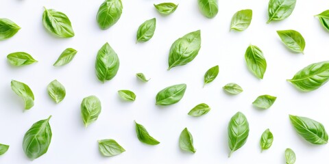 Aufkleber - Fresh green basil leaves against a white background create a vibrant and appealing visual of green basil, showcasing its natural beauty and freshness in a clean presentation of basil.