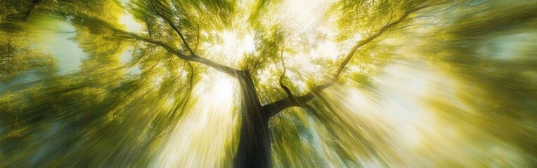 Aufkleber - Abstract view of vibrant tree canopies illuminated by sunlight during a peaceful afternoon in a lush forest