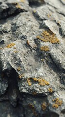 Poster - Close-up view of rocky mountain surface with lichen in natural light