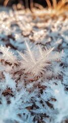 Fototapete - Frosted grass blades create a winter wonderland in the early morning light